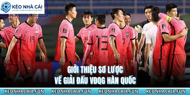 Giới thiệu sơ lược về giải đấu VĐQG Hàn Quốc